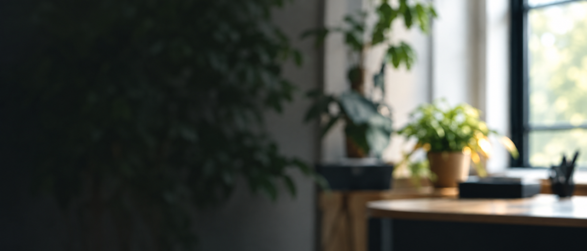 Professional consultation setting